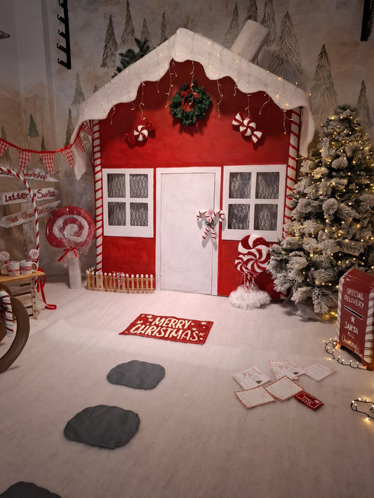 Christmas photoshoot backdrop decoration