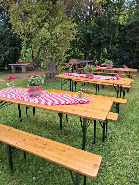 Christening decoration with a picnic and strawberry theme