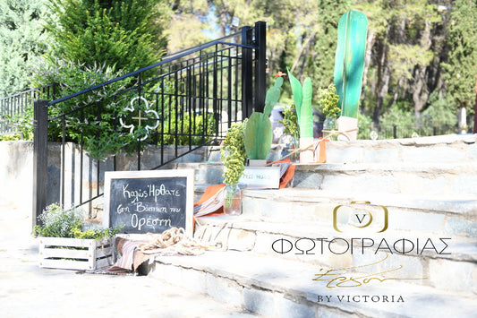 Cactus themed baptism decoration