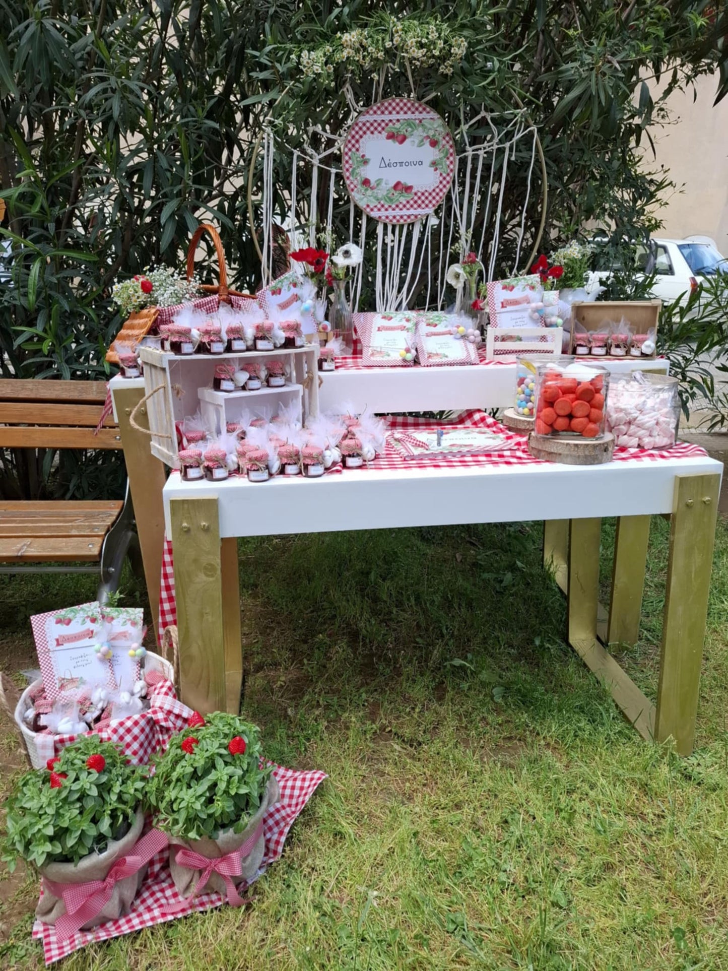 Διακόσμηση βάπτισης με θέμα πικνίκ και φράουλα
