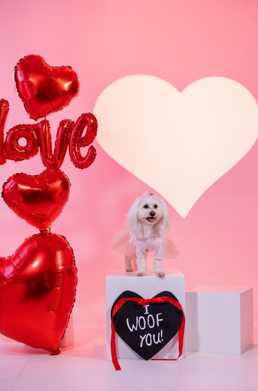 Διακόσμηση φωτογράφισης με μπαλόνια 'I woof you'